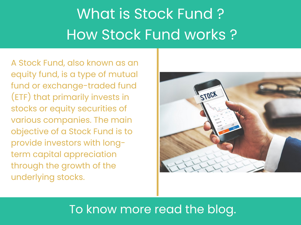 What is Stock Fund ?  How Stock Fund works ?
